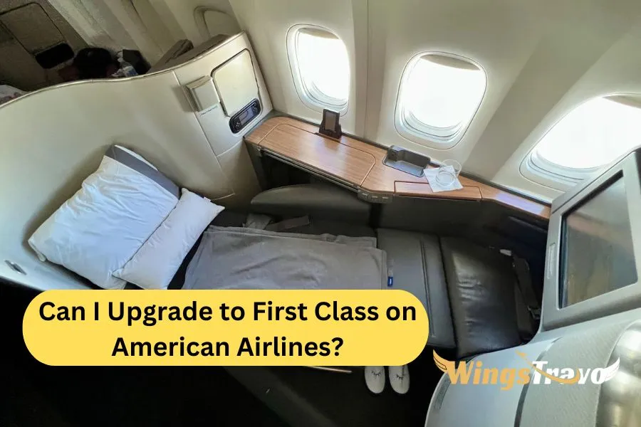 Can-I-Upgrade-to-First-Class-on-American-Airlines_20238923753.webp