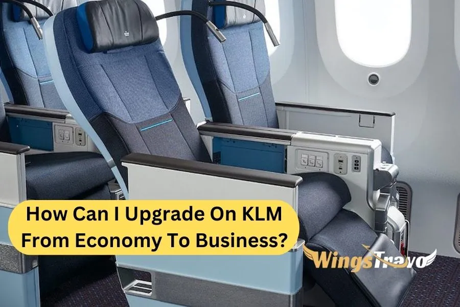 Upgrade KLM from Economy to Business