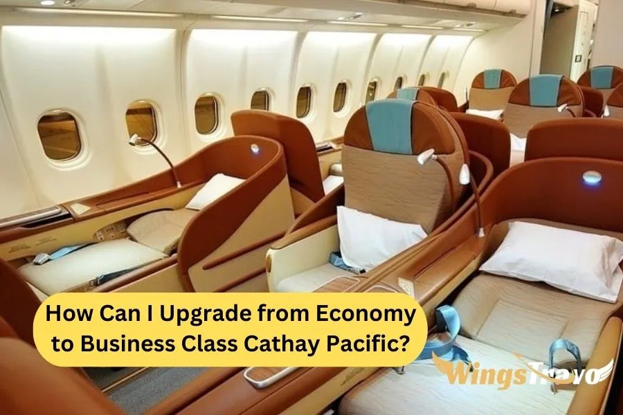 How-Can-I-Upgrade-from-Economy-to-Business-Class-Cathay-Pacific_2023718235958.webp