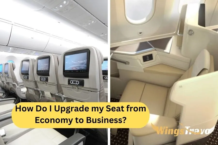How-Do-I-Upgrade-my-Seat-from-Economy-to-Business_2023723235833.webp