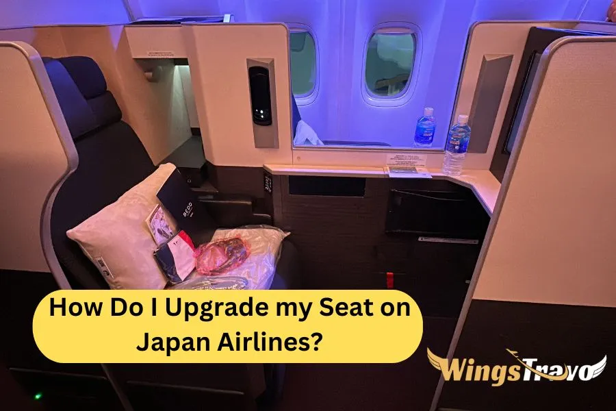 How-Do-I-Upgrade-my-Seat-on-Japan-Airlines_202372601552.webp