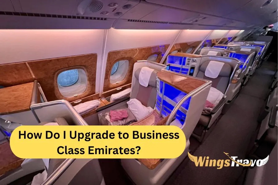 How-Do-I-Upgrade-to-Business-Class-Emirates_2023841740.webp