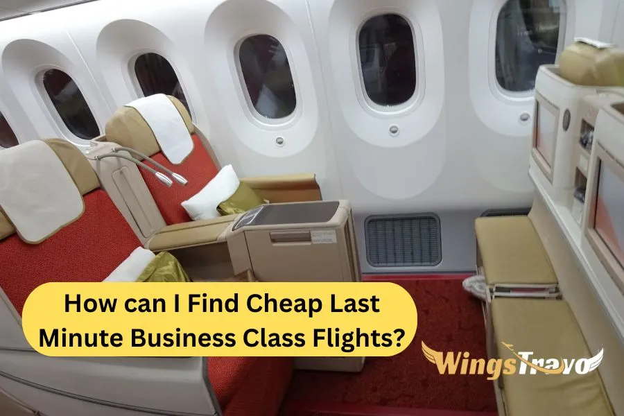 How-can-I-find-cheap-last-minute-business-class-flights_20238220025.webp