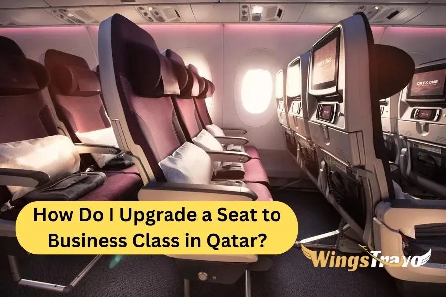 How-to-Upgrade-a-Seat-to-Business-Class-in-Qatar_2023751656.webp
