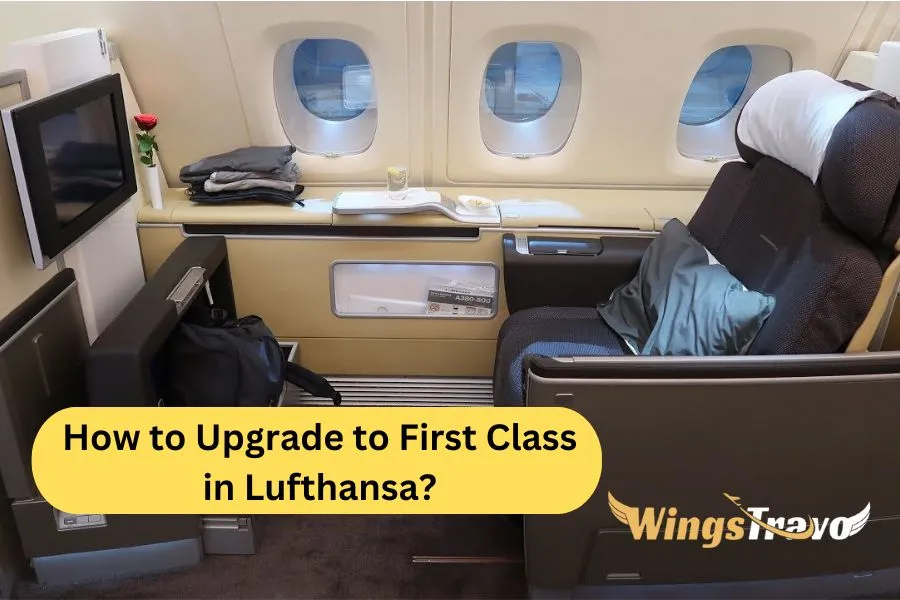 How-to-Upgrade-to-First-Class-in-Lufthansa_202381232456.webp