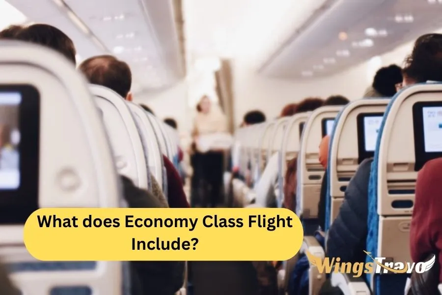 What-does-Economy-Class-Flight-Include_2023720224523.webp