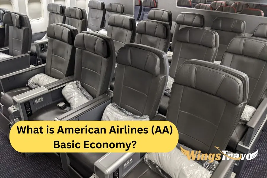 What-is-American-Airlines-_AA_-Basic-Economy_20238823142.webp