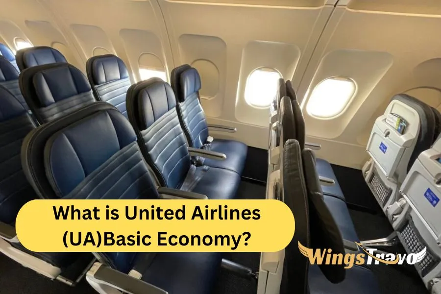 What-is-United-Airlines-_UA_Basic-Economy_20238110217.webp
